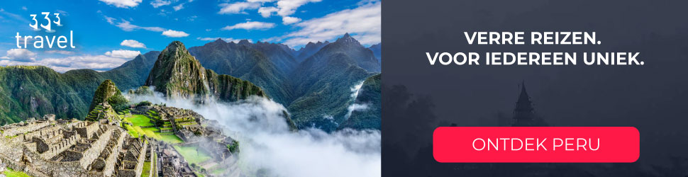 Website 333 Travel