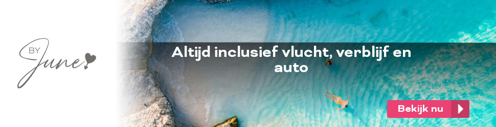 Website By June